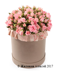 ����� ������� ���� � ������� �������