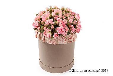 ����� ������� ���� � ������� �������