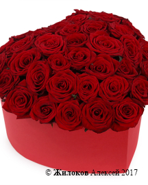 ����� ��� ������ � ������� ������� ������