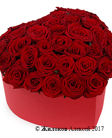 ����� ��� ������ � ������� ������� ������