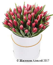 ����� 51 ����������� ������� � ����� ������� �������, ����