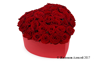 ����� ��� ������ � ������� ������� ������