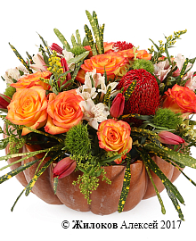 ���������� ������������ ����� � �����