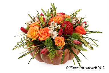 ���������� ������������ ����� � �����