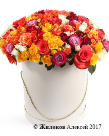 ����� 101 ������� � ������� �������