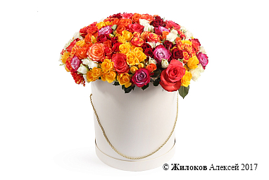 ����� 101 ������� � ������� �������