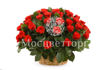 ����� 51 ���� � �������, 50 ��