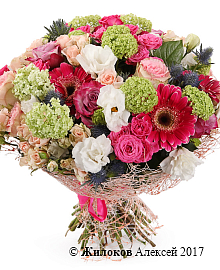 ����� ������� � �������