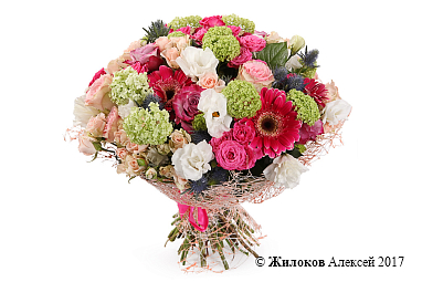 ����� ������� � �������