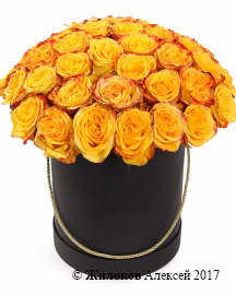 Букет 51 роза Хай Еллоу в черной шляпной коробке
