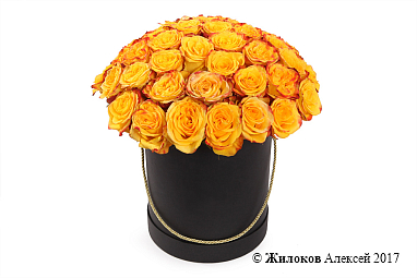 ����� 51 ���� ��� ����� � ������ ������� �������