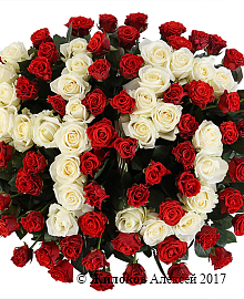 ����� ���������� ����� �� 101 ���� � �������