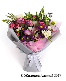 ����� ������ ���