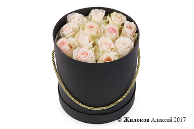 ����� 13 ��� ��������� � ������� �������