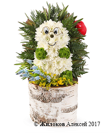 ���������� ����-��������������