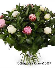 ����� � ������� ������