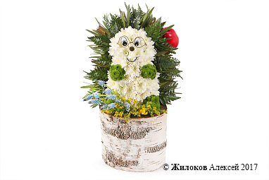 ���������� ����-��������������