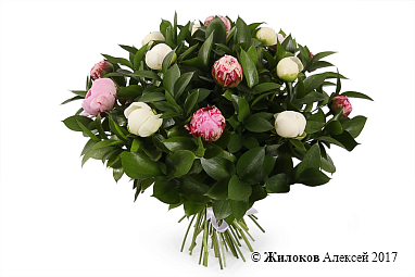 ����� � ������� ������