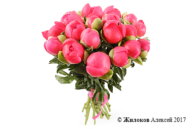 ����� �� ������ ������� ������