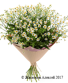 ����� � ��������� ������� �����