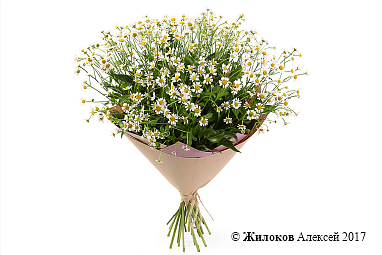 ����� � ��������� ������� �����