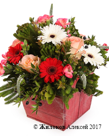 ���������� �������� ��� � �����