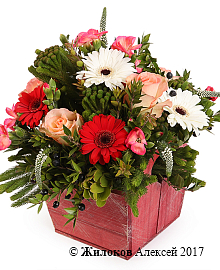 ���������� �������� ��� � �����