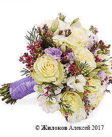 ����� ������� �����