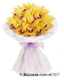 ����� �� ������� ���������� ���������