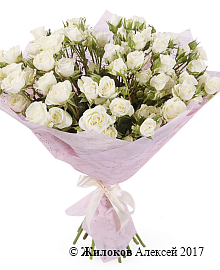 ����� 19 �������� ��� ���������