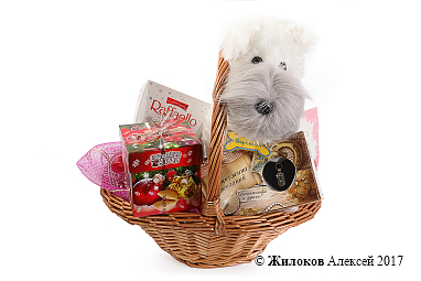 ���������� ������� �24