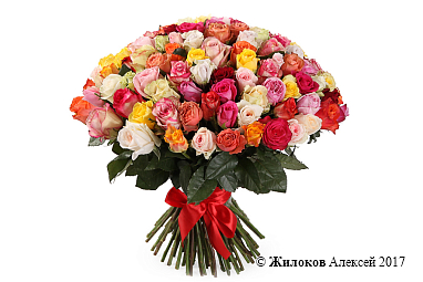 ����� ����������� ������� (101 ����)