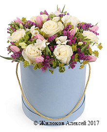 ����� ����� ���� � ������� �������