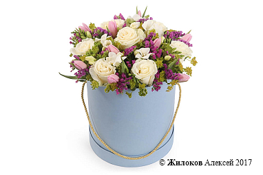 ����� ����� ���� � ������� �������