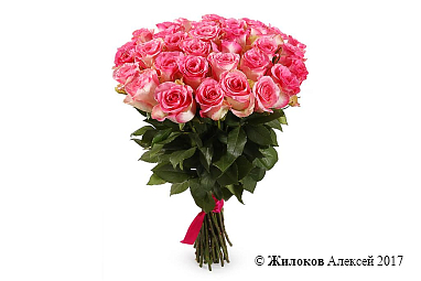 ����� 35 ��� ������