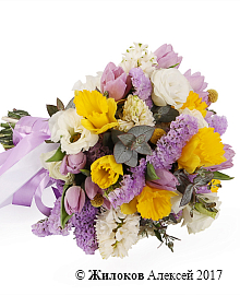 ����� ������� ������