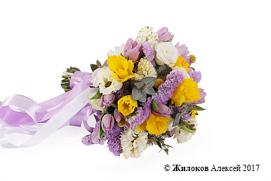 ����� ������� ������