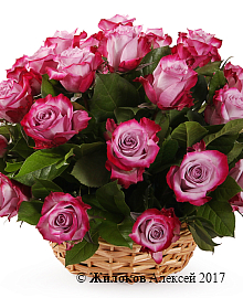 ����� 35 ��� ��� ����� � �������