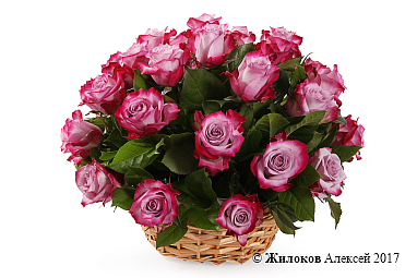 ����� 35 ��� ��� ����� � �������