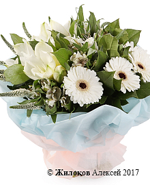 ����� ��������