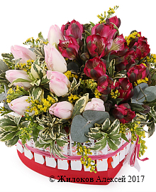 ����� ����� ����� � ������� ������� ������