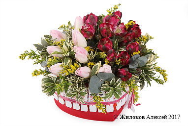 ����� ����� ����� � ������� ������� ������