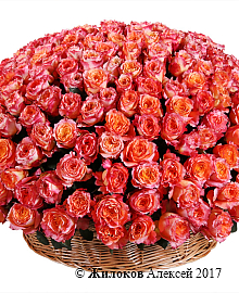 ����� 301 ���� ��� ������ � �������