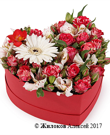 ����� ��������� ������ � ������� ������� ������