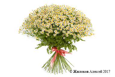 ����� 51 �������