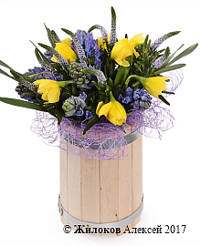 ���������� � ���������� �������� ���� � �����