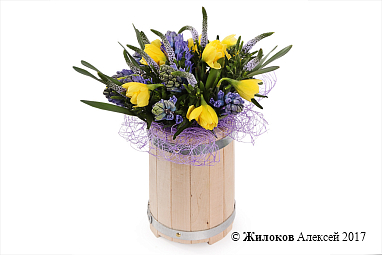 ���������� � ���������� �������� ���� � �����