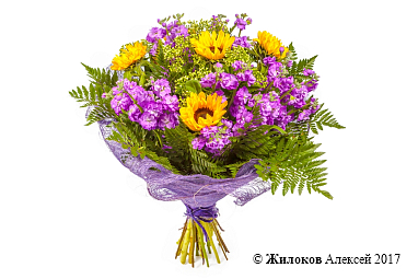 ����� ������� ������