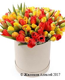 ����� 101 ������� � ������� �������, ������-������ ����