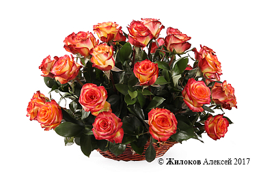 ����� 35 ��� ��� ������ � �������